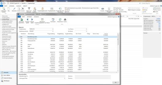 Vorlage für eine Projektanalysematrix mit Rubriknummer, Voranschlagsbetrag, Budgetbetrag, Angebotsbetrag usw.