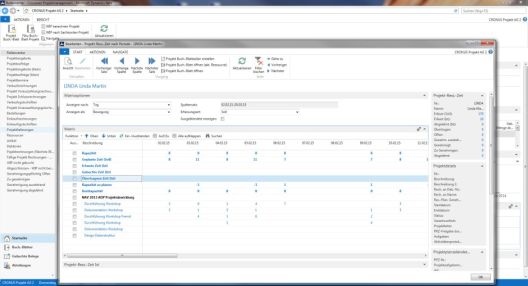 Screenshot von Rollencenter Crossover Projektmanagement. Linda Martin als Beispiel. Verschiedene Matrix-Optionen wie Anzeige pro Tag. Matrix mit verschiedenen Bezeichnungen wie Kapazität. Stundenzuweisung innerhalb einer Periode.