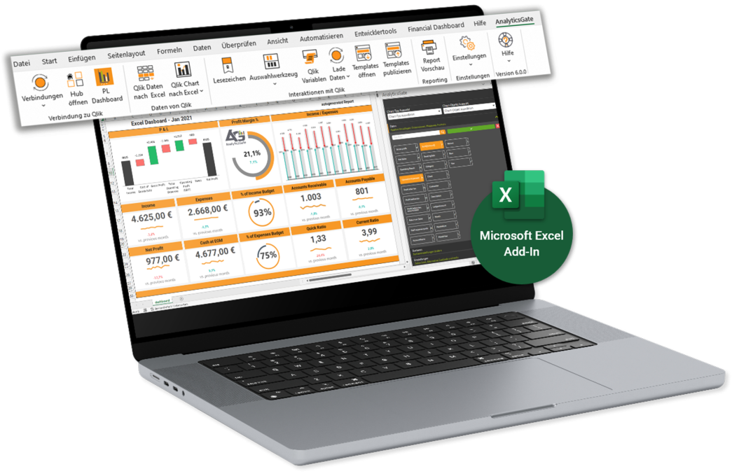 Grafik zu AnalyticsGate (Sense Excel)